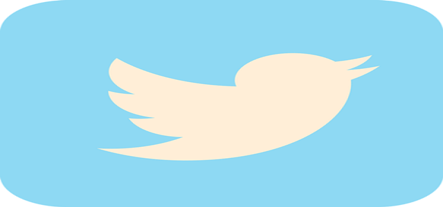 High interest among private equity firms for a possible Twitter buyout